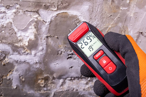Best Residential Mold Remediation in East Lexington, VA
