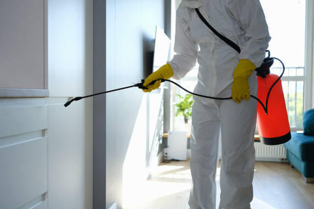 Best Mold Testing and Inspection Services in East Lexington, VA