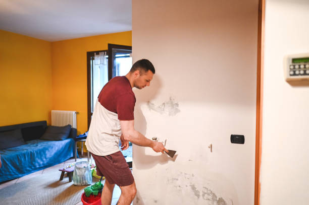 Best Health and Safety Mold Remediation in East Lexington, VA